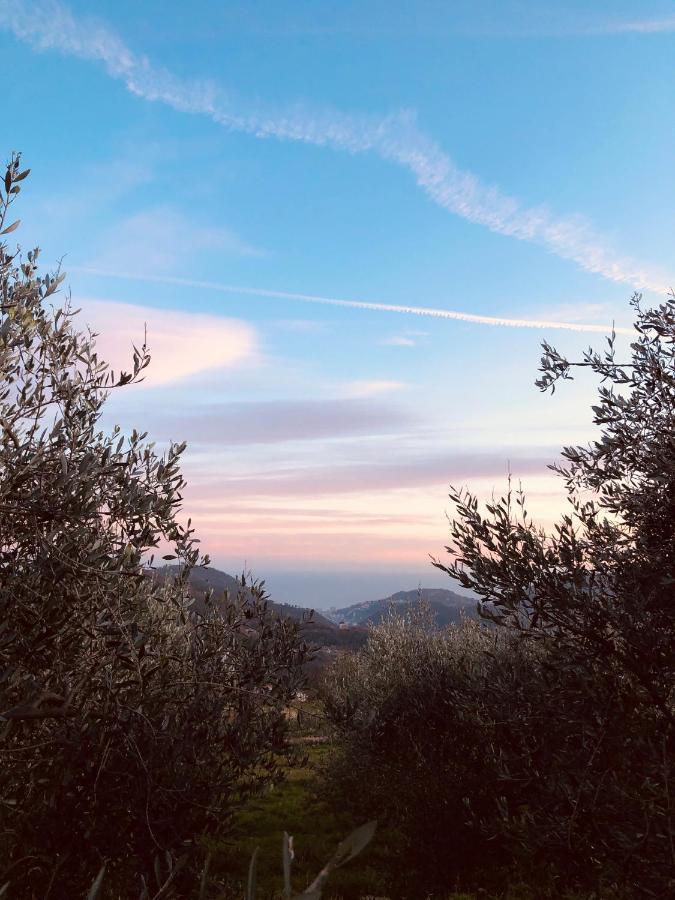Bed And Breakfast Ca Du 5 Tovo San Giacomo Exterior foto